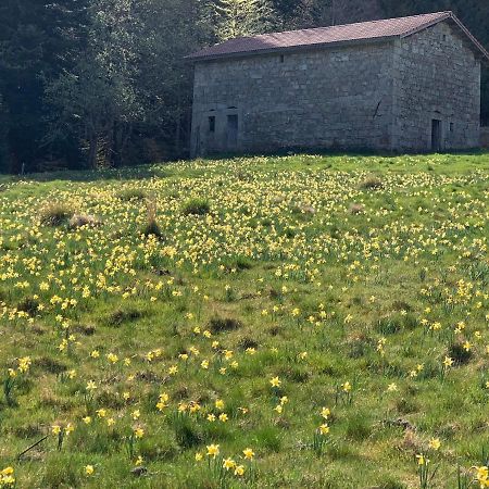 Gite " Oree Des Bois" Vertolaye Dış mekan fotoğraf
