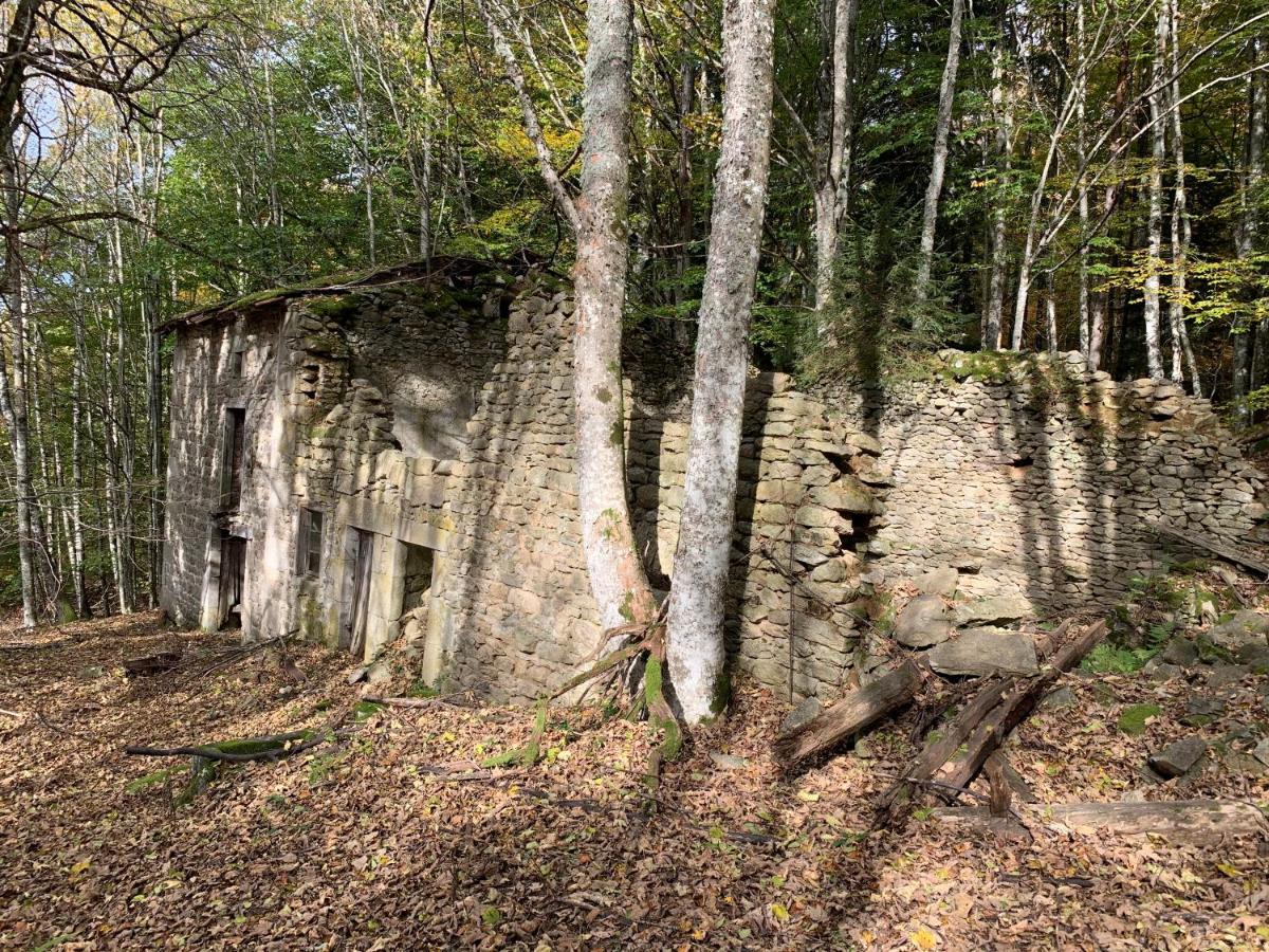 Gite " Oree Des Bois" Vertolaye Dış mekan fotoğraf