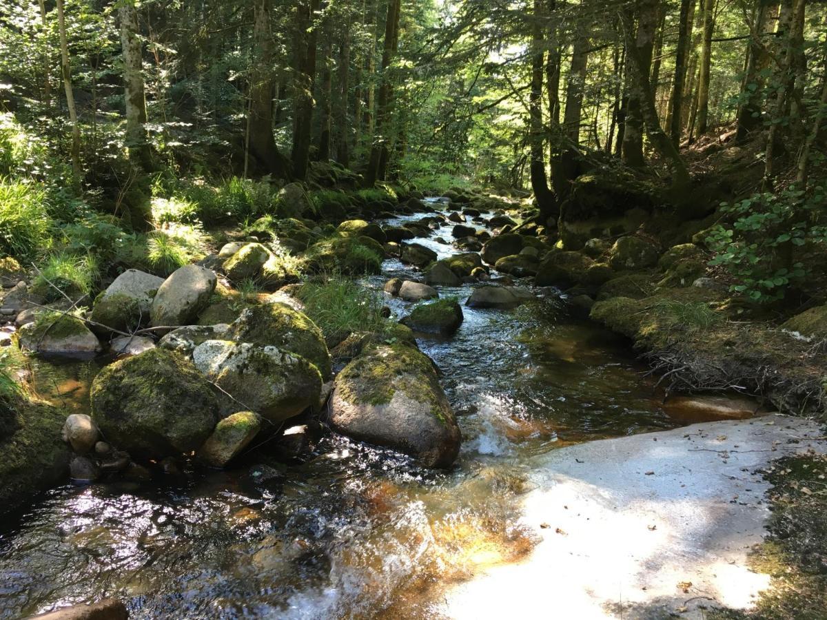 Gite " Oree Des Bois" Vertolaye Dış mekan fotoğraf