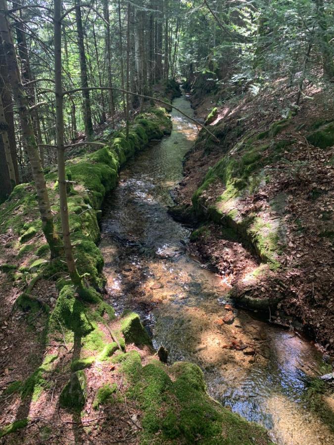 Gite " Oree Des Bois" Vertolaye Dış mekan fotoğraf