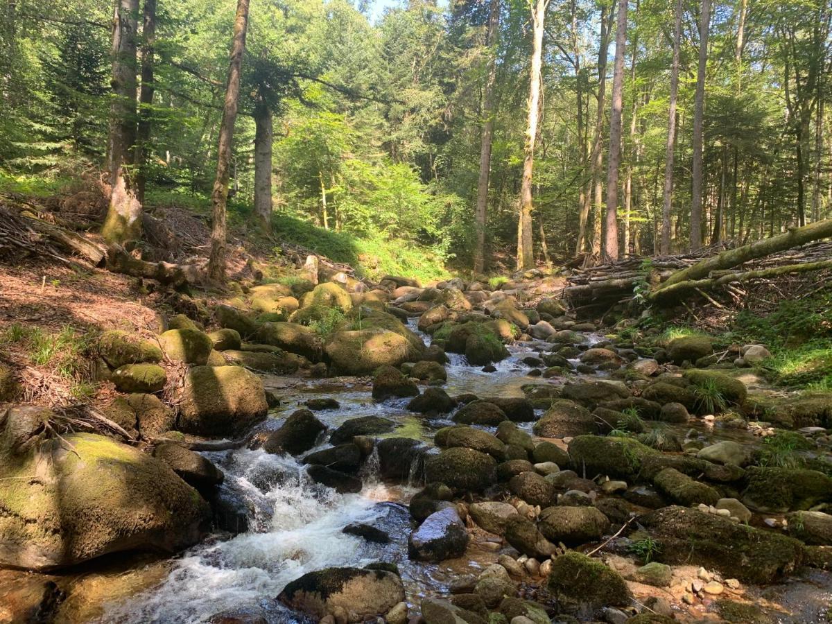 Gite " Oree Des Bois" Vertolaye Dış mekan fotoğraf
