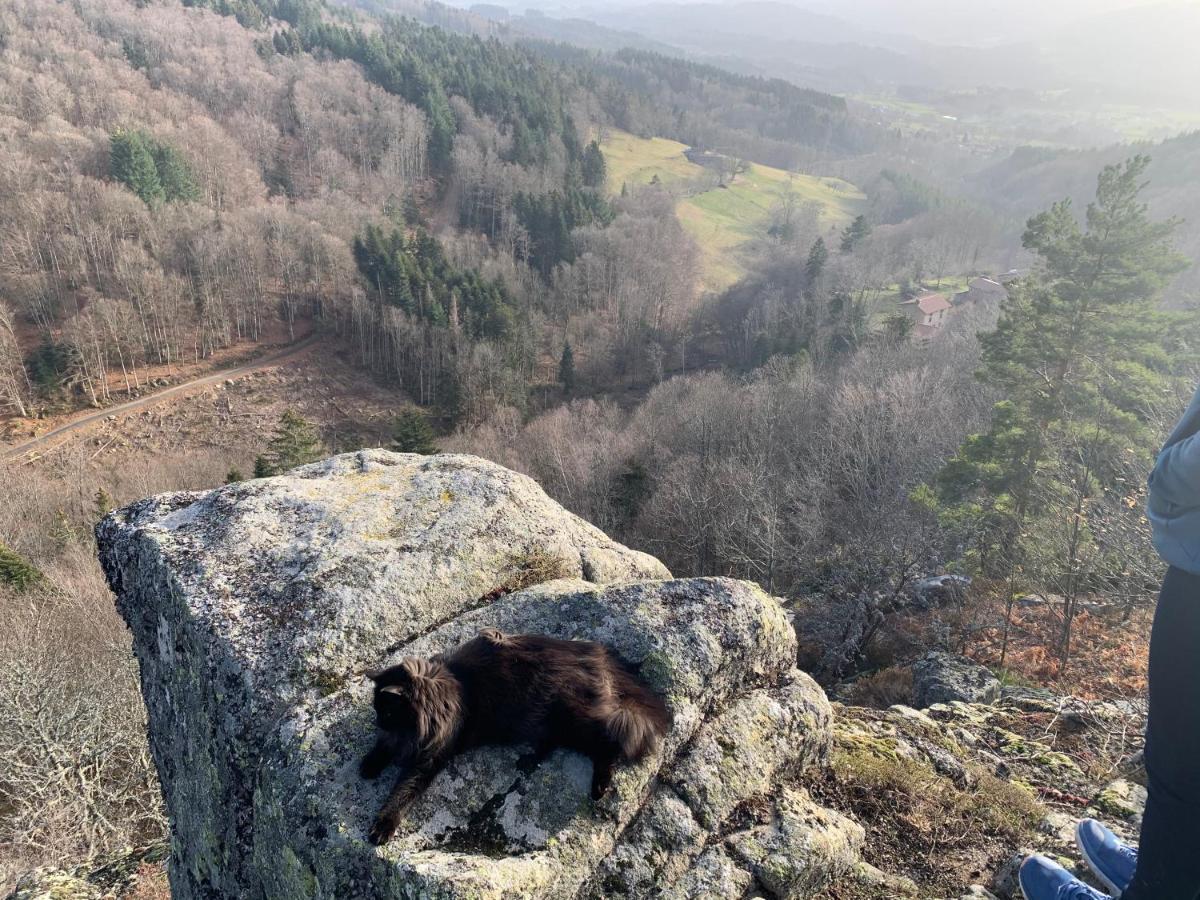 Gite " Oree Des Bois" Vertolaye Dış mekan fotoğraf