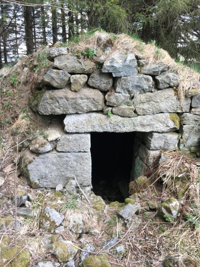 Gite " Oree Des Bois" Vertolaye Dış mekan fotoğraf