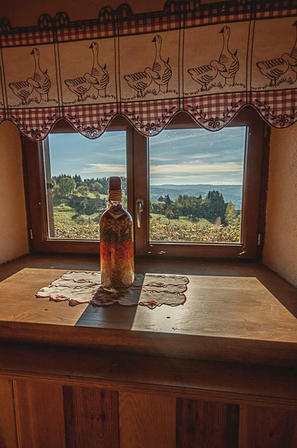 Gite " Oree Des Bois" Vertolaye Dış mekan fotoğraf